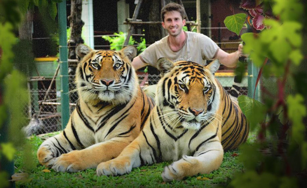 Tiger Kingdom Thailand 