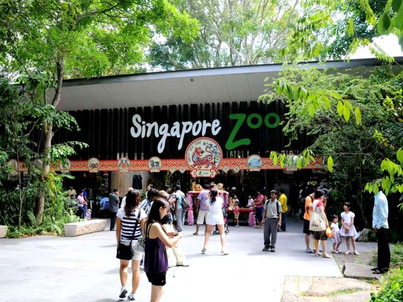 Singapore Zoo Top 10 places to visit in singapore for family in may 