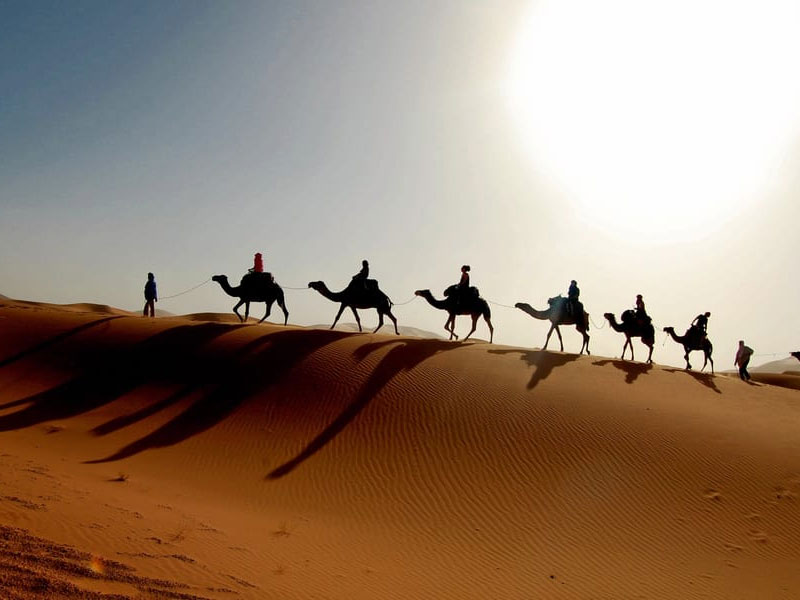 Desert Safari best ways to celebrate new year in dubai