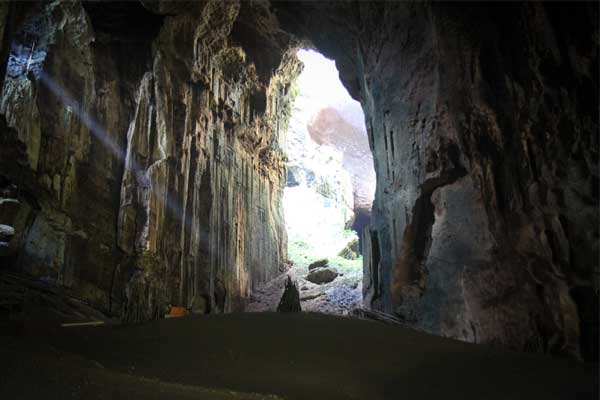 Gomantong Caves 10 places to visit in Sabah Malaysia