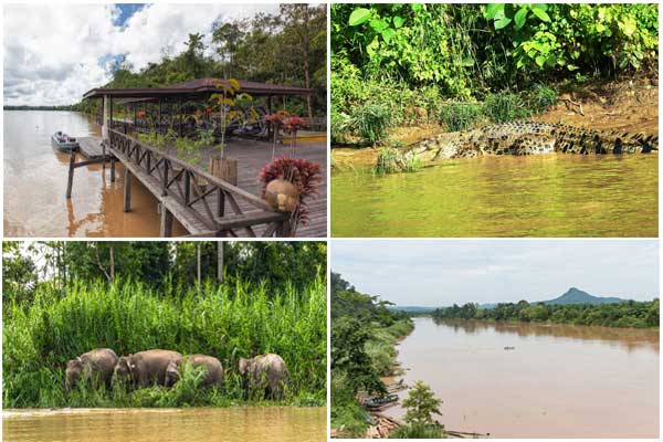 The Kinabatangan River 10 places to visit in Sabah Malaysia